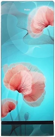 Haier 190 L Direct Cool Door Refrigerator HRD-2103POG-P