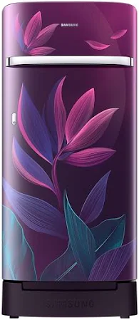 Samsung 189L Single Door Refrigerator RR21D2H259R